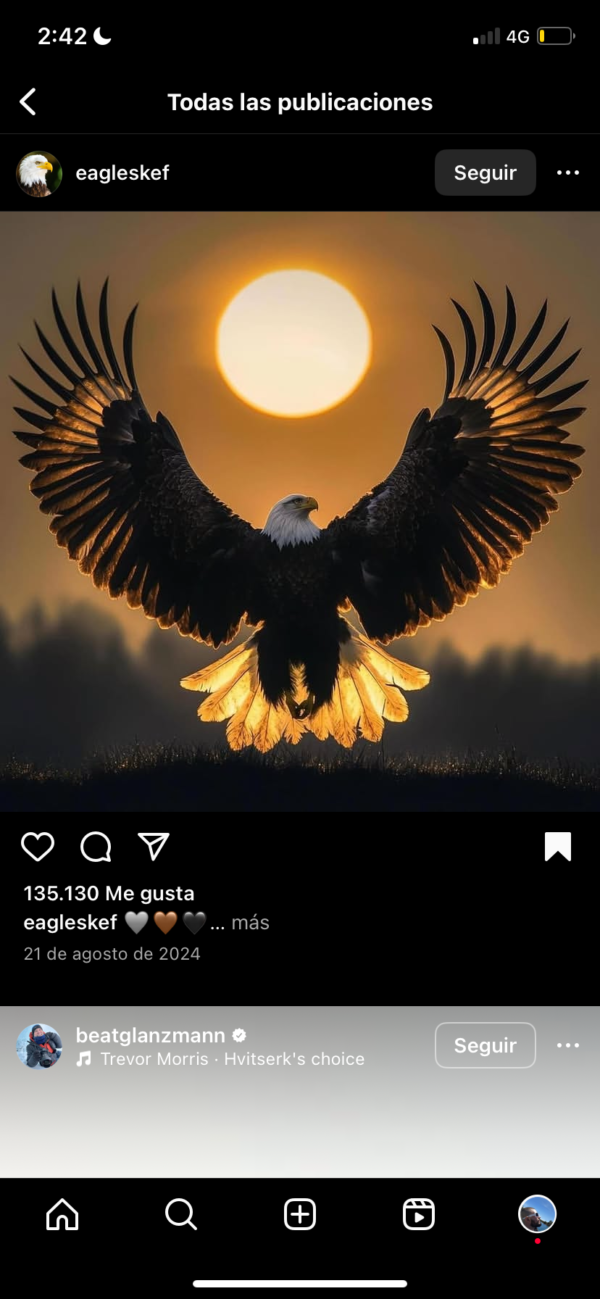 Producto 2 empresa 1